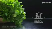 L'origine des saveurs