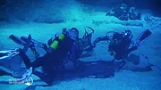 Nausicaá : Dans les coulisses du plus grand aquarium d'Europe