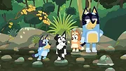 Bluey S1 E29