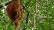 Parcs nationaux : Ces merveilles du monde