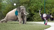 Athleticus S3 E5