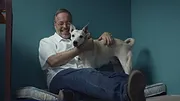 Nos amis les chiens