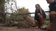 Expédition Pairi Daiza