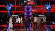 The Voice (États-Unis)