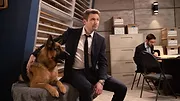 Hudson et Rex S1 E1