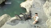 Expédition Pairi Daiza