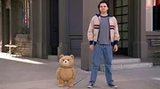 ted