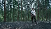 Les Périls de l'amour