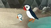 Puffin Rock