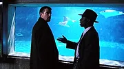 Homicide