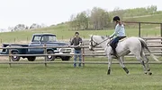 Heartland