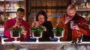 Drink Masters