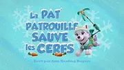 La Pat' Patrouille