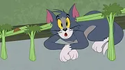 Tom et Jerry Show