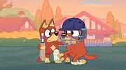 Bluey S3 E47