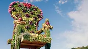La Grande Bataille des fleurs