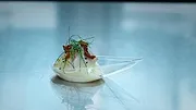 La Relève des chefs