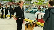 Hudson et Rex S6 E1