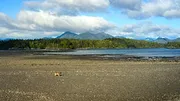 Bienvenue sur l'île des loups