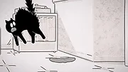 Putain de chat !
