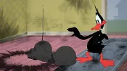 Looney Tunes Cartoons