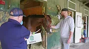 Race For The Crown : La gloire au galop
