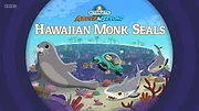 Les Octonauts : Mission Terre