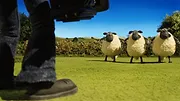 Shaun le mouton S4 E15