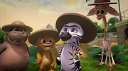 Madagascar : La savane en délire