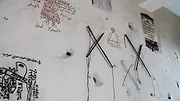 Palu Ailesi: Karanlık Sarmal