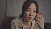Diary of a Prosecutor
