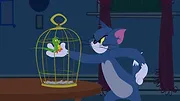 Tom et Jerry Show S1 E13