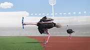 Athleticus S1 E3