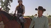 Heartland
