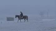 Heartland