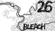 Bleach