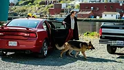Hudson et Rex S5 E3