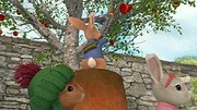 Pierre Lapin