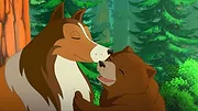 Lassie