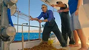 The Reluctant Traveller with Eugene Levy