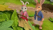 Pierre Lapin