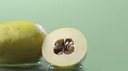 L'origine des saveurs