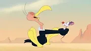 Looney Tunes Cartoons