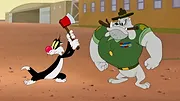 Looney Tunes Cartoons