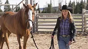 Heartland