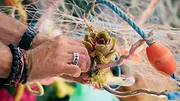 La Grande Bataille des fleurs