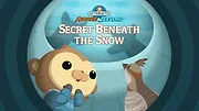 Les Octonauts : Mission Terre