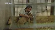 Expédition Pairi Daiza
