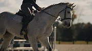 Bad Sport : la triche organisée