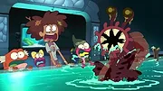 Amphibia
